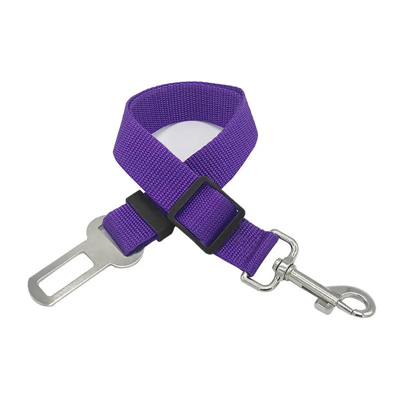 Cinturón de Seguridad para Mascotas – Viajes Seguros en Coche