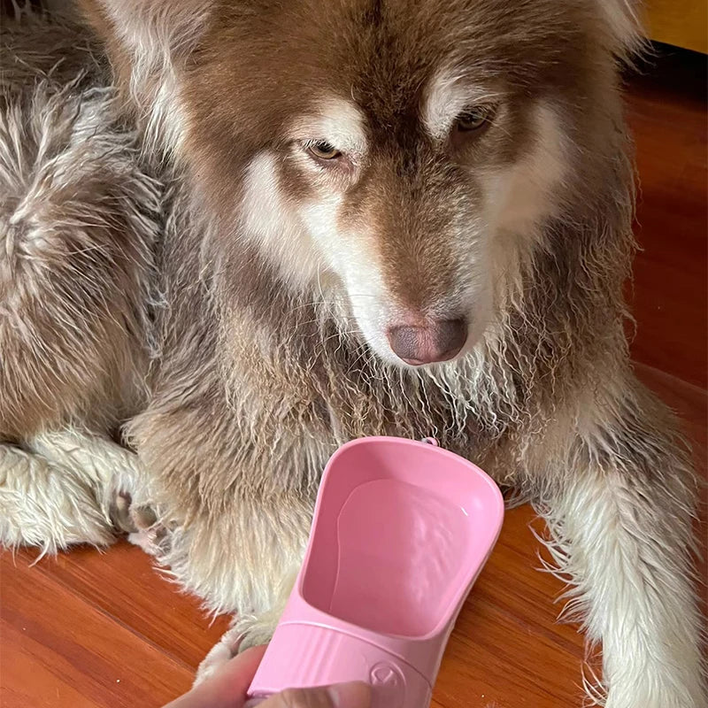 Botella portátil 2 en 1 para perros
