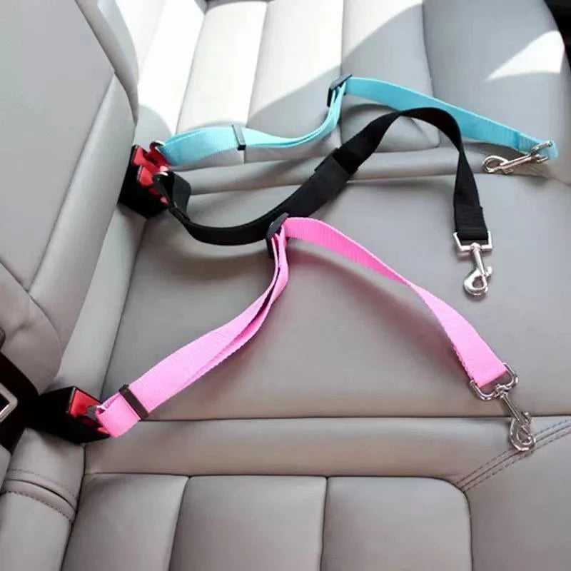 Cinturón de Seguridad para Mascotas – Viajes Seguros en Coche