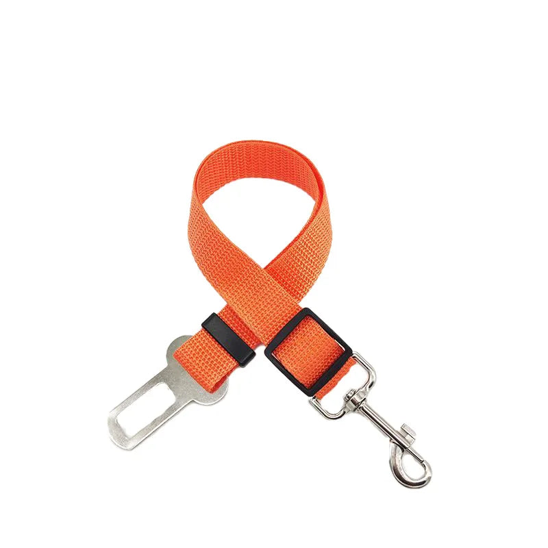 Cinturón de Seguridad para Mascotas – Viajes Seguros en Coche